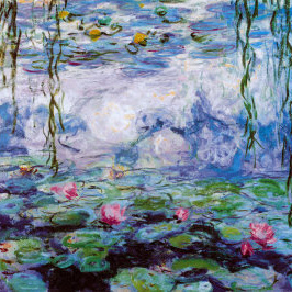 monet ninfee